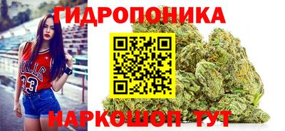 СК Чапаевск
