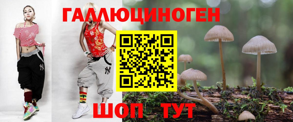 Галлюциногенные грибы GOLDEN TEACHER  Псилоцибиновые грибы прущие грибы  Асбест  Вход с VPN 